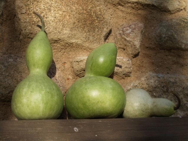 Pensjonat La Casona De Valfrio- Adults Only Collado  Zewnętrze zdjęcie
